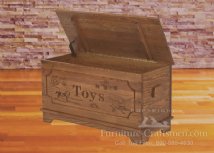 Cartersville Toy Box