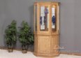Georgetown Angled 1-Door Wood Base Curio Cabinet
