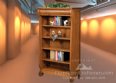 Rennato 60" Wide Bookcase