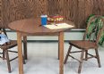 Stevens Point Child's Table Collection