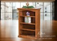 Tuckwilla 48" Wide Bookcase