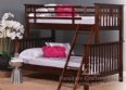 Unity Valley Twin over Full Bunk Bed